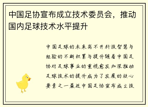 中国足协宣布成立技术委员会，推动国内足球技术水平提升
