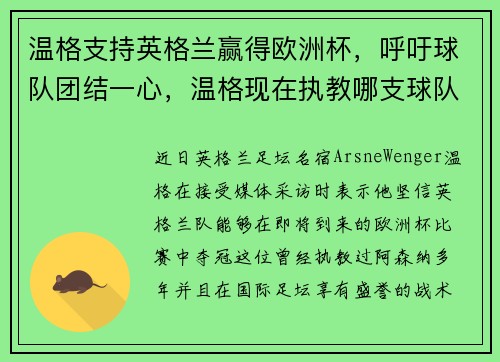 温格支持英格兰赢得欧洲杯，呼吁球队团结一心，温格现在执教哪支球队